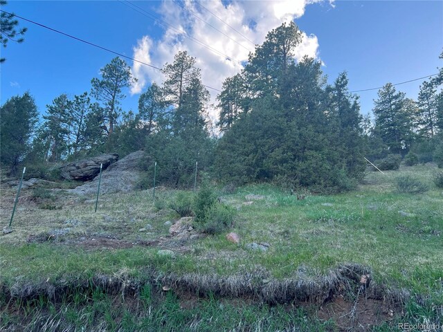 137 Bob Cat Trl, Bailey, CO 80421 - view of undeveloped land
