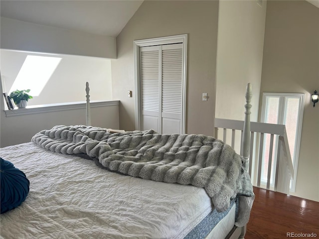137 Bob Cat Trl, Bailey, CO 80421 - bedroom featuring vaulted ceiling, a closet, a skylight, and wood finished floors
