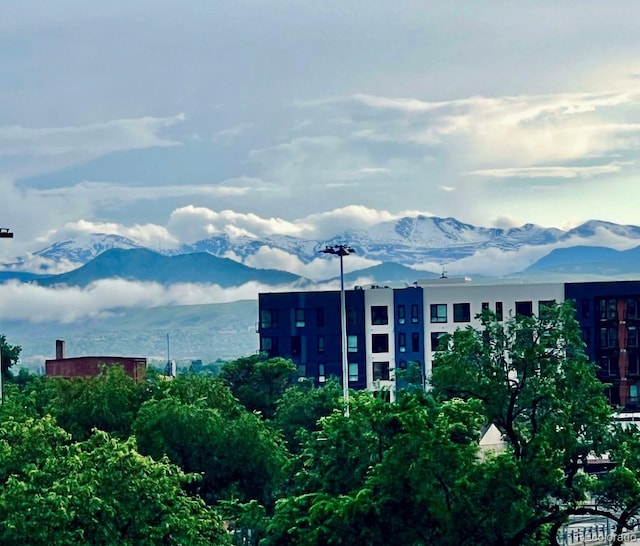 300 W 11th Ave Unit 4F, Denver, CO 80204 - view of mountain background