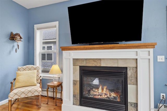 45 Bridge St, Breckenridge, CO 80424 - detailed view of a baseboard radiator, a glass covered fireplace, wood finished floors, and baseboards