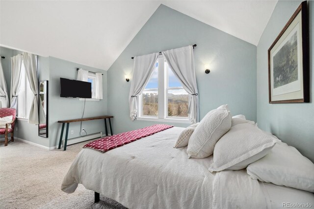 45 Bridge St, Breckenridge, CO 80424 - bedroom with lofted ceiling, baseboard heating, carpet floors, and baseboards