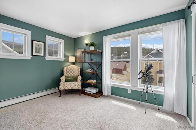 45 Bridge St, Breckenridge, CO 80424 - sitting room with carpet, a baseboard heating unit, and baseboards