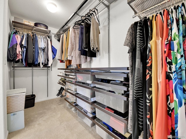 walk in closet with carpet