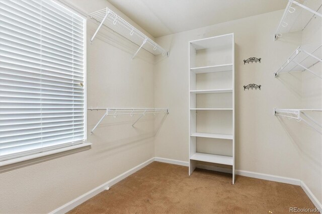 42350 Forest Oaks Dr, Elizabeth, CO 80107 - photo 19