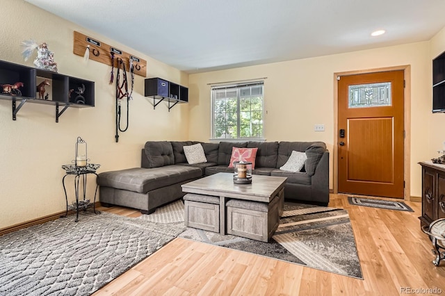 676 Hedgerow Way, Brighton, CO 80601 - living room featuring light wood finished floors