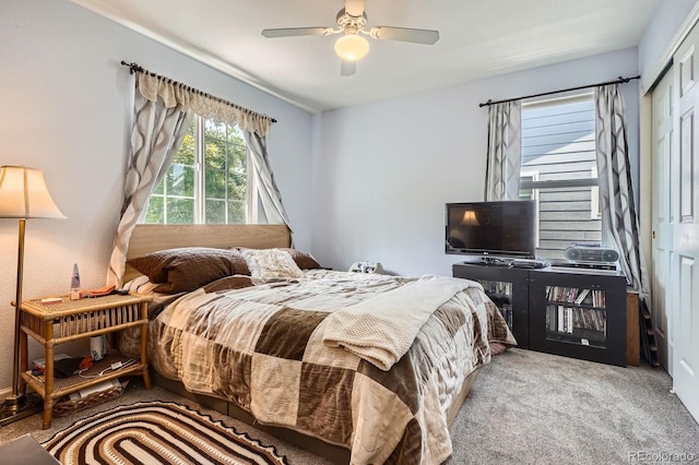 676 Hedgerow Way, Brighton, CO 80601 - carpeted bedroom with a closet and a ceiling fan