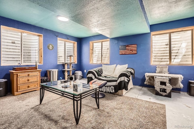 676 Hedgerow Way, Brighton, CO 80601 - living room featuring a textured ceiling and a textured wall