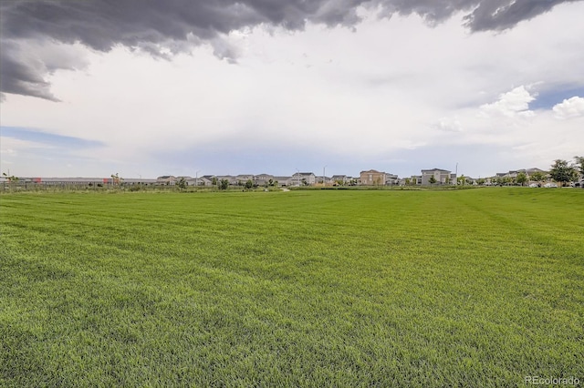 676 Hedgerow Way, Brighton, CO 80601 - view of green lawn