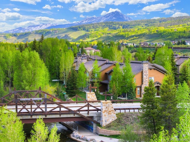 180 Robin Dr Unit 180, Silverthorne, CO 80498 - photo 40