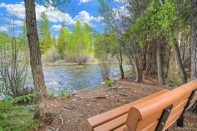 180 Robin Dr Unit 180, Silverthorne, CO 80498 - photo 3