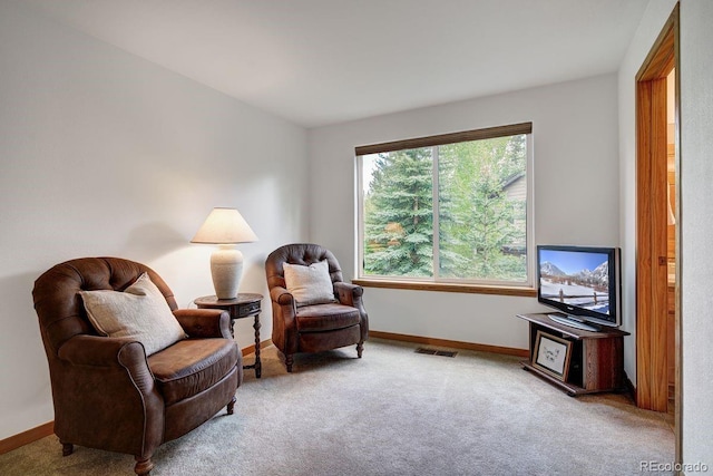 180 Robin Dr Unit 180, Silverthorne, CO 80498 - photo 31