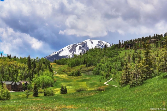 180 Robin Dr Unit 180, Silverthorne, CO 80498 - photo 6