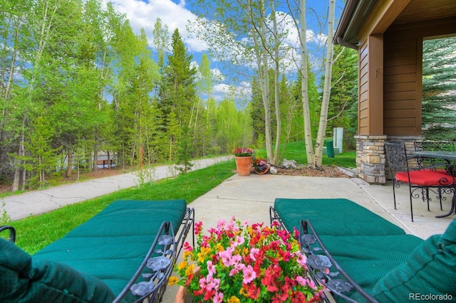 180 Robin Dr Unit 180, Silverthorne, CO 80498 - photo 8