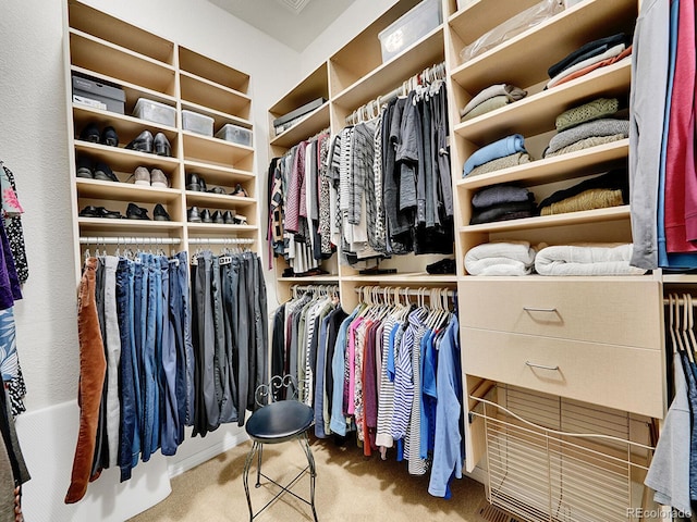 2571 Hunters Pl, Highlands Ranch, CO 80129 - walk in closet featuring carpet floors