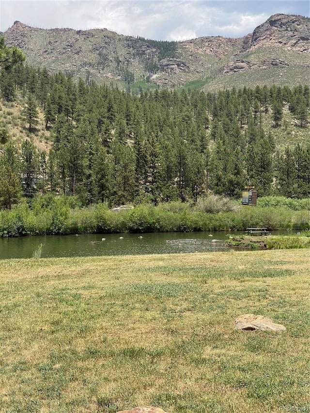 57920 US Highway 285 Unit 23/24, Bailey, CO 80421 - mountain view