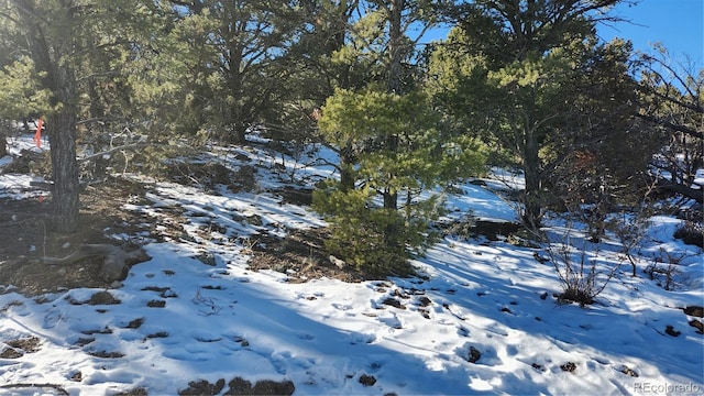 Listing photo 2 for TBDMBL 35th Trail, Cotopaxi CO 81223