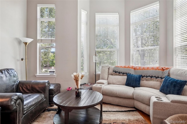2933 Central Park Blvd, Denver, CO 80238 - living room with healthy amount of natural light