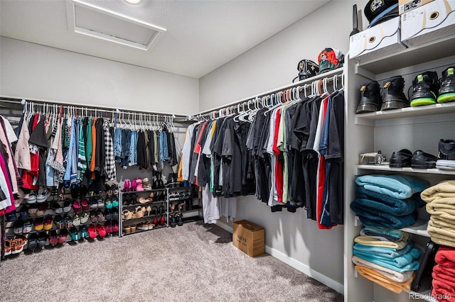 spacious closet featuring carpet