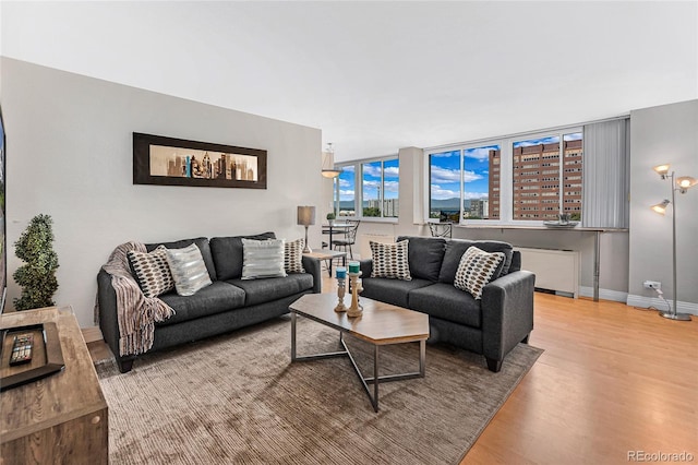 living room featuring wood finished floors and baseboards