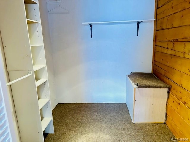 spacious closet featuring carpet flooring