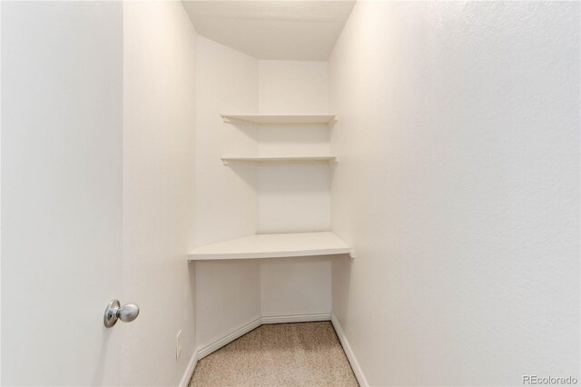 8144 Washington St Unit 192, Denver, CO 80229 - spacious closet with light carpet