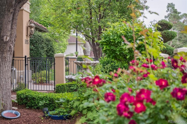 5335 E 2nd Ave, Denver, CO 80220 - view of yard