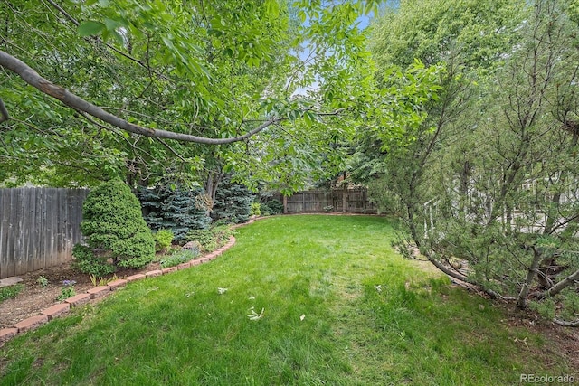 9406 Troon Village Way, Lone Tree, CO 80124 - view of fenced backyard