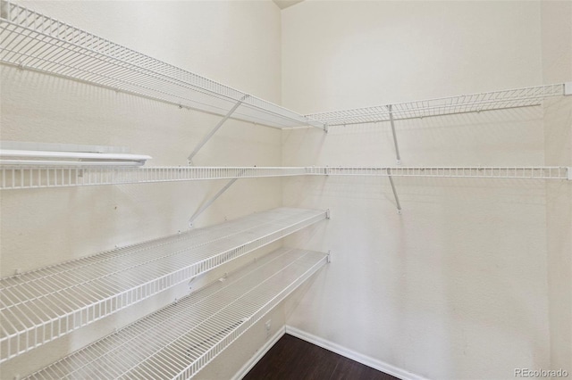 walk in closet with wood finished floors