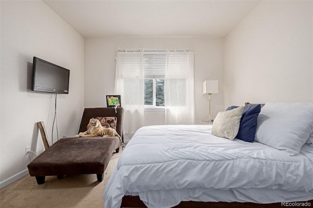 bedroom featuring carpet