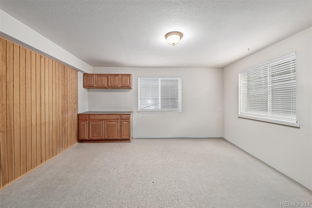 carpeted empty room with a textured ceiling and wooden walls