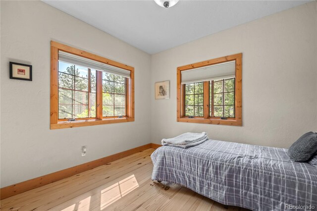 715 Clark Rd, Bailey, CO 80421 - bedroom featuring multiple windows and wood finished floors