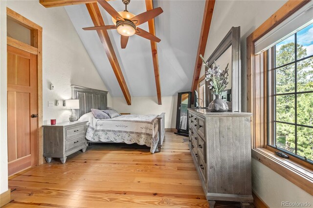 715 Clark Rd, Bailey, CO 80421 - bedroom featuring multiple windows and light wood-style floors