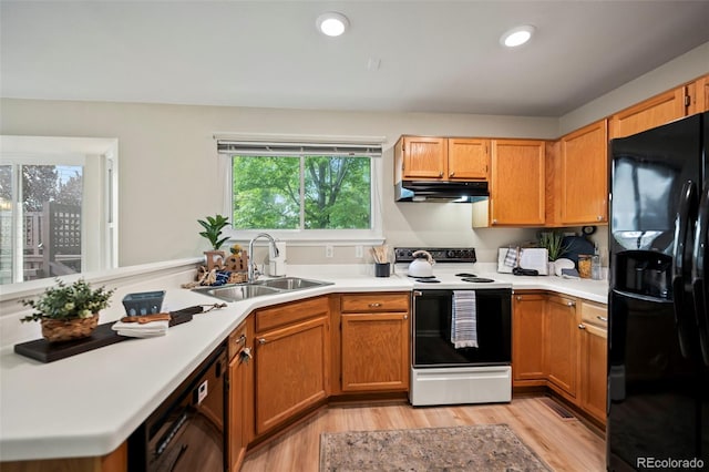 kitchen featuring kitchen peninsula, sink, light hardwood / wood-style flooring, and black appliances