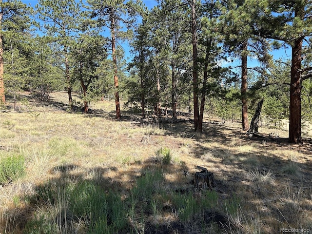 565 Hayhook Way, Hartsel, CO 80449 - photo 1