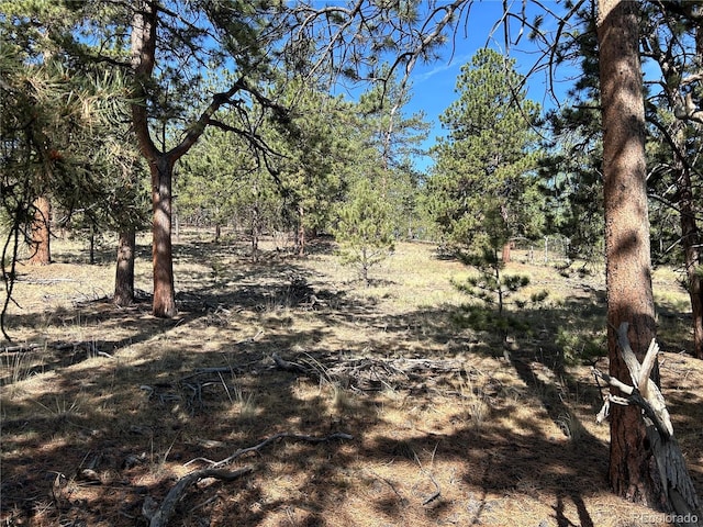 565 Hayhook Way, Hartsel, CO 80449 - photo 2