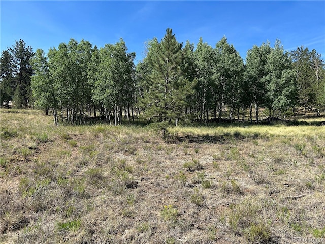 565 Hayhook Way, Hartsel, CO 80449 - photo 3