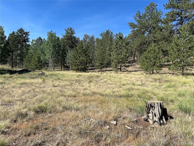 565 Hayhook Way, Hartsel, CO 80449 - photo 4