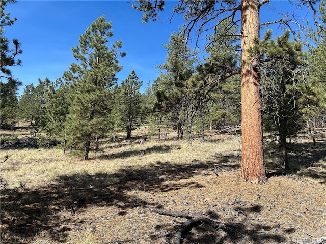 565 Hayhook Way, Hartsel, CO 80449 - photo 5