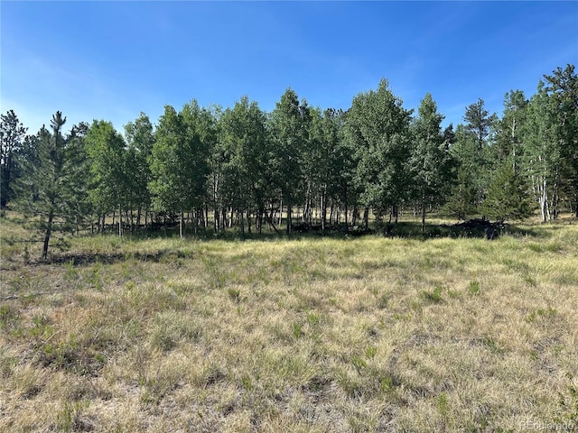 565 Hayhook Way, Hartsel, CO 80449 - photo 6