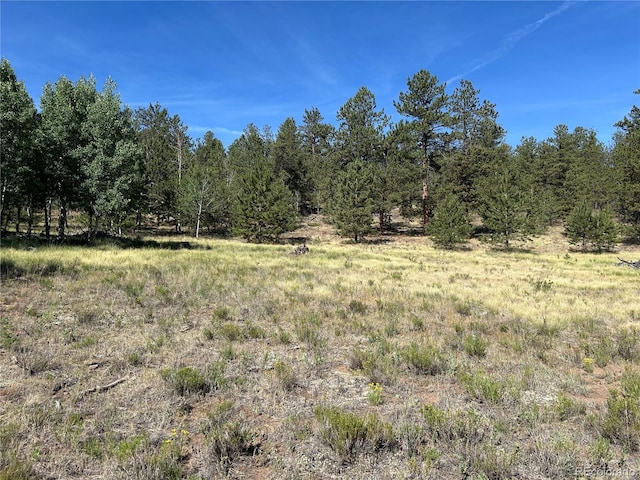 565 Hayhook Way, Hartsel, CO 80449 - photo 7