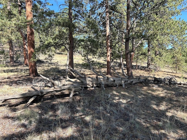 565 Hayhook Way, Hartsel, CO 80449 - photo 8