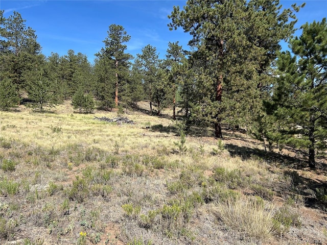 565 Hayhook Way, Hartsel, CO 80449 - photo 9