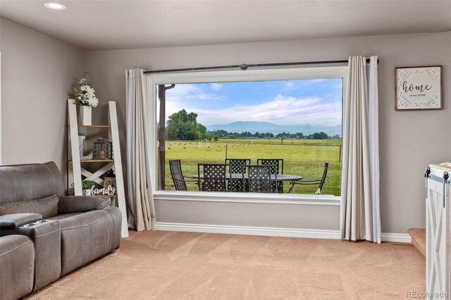 610 W County Road 16, Loveland, CO 80537 - photo 11