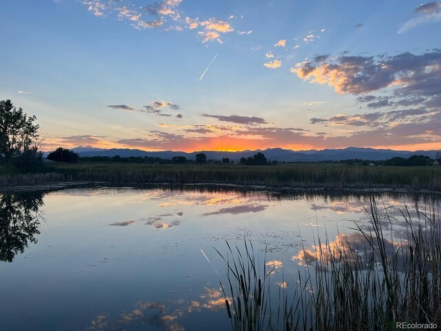 610 W County Road 16, Loveland, CO 80537 - photo 49