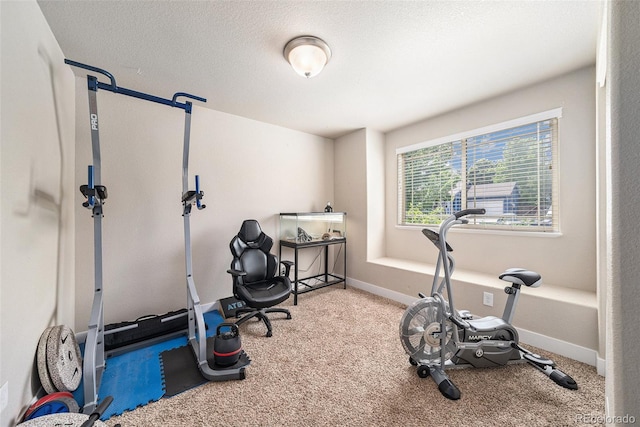 884 Cliffrose Way, Severance, CO 80550 - photo 15