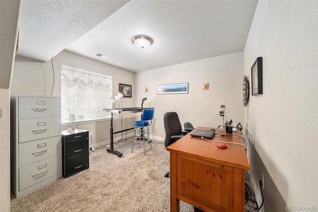 884 Cliffrose Way, Severance, CO 80550 - photo 24