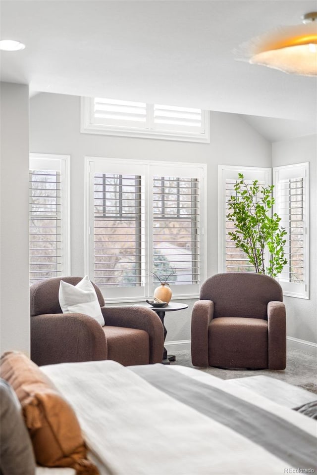 bedroom featuring vaulted ceiling and baseboards