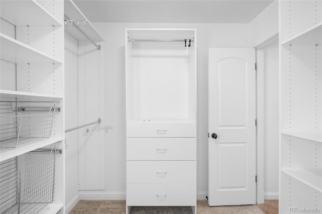 view of spacious closet