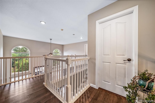 21305 Martingale Ln, Parker, CO 80138 - photo 21