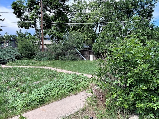 3910 E Orchard Rd, Centennial, CO 80121 - view of yard